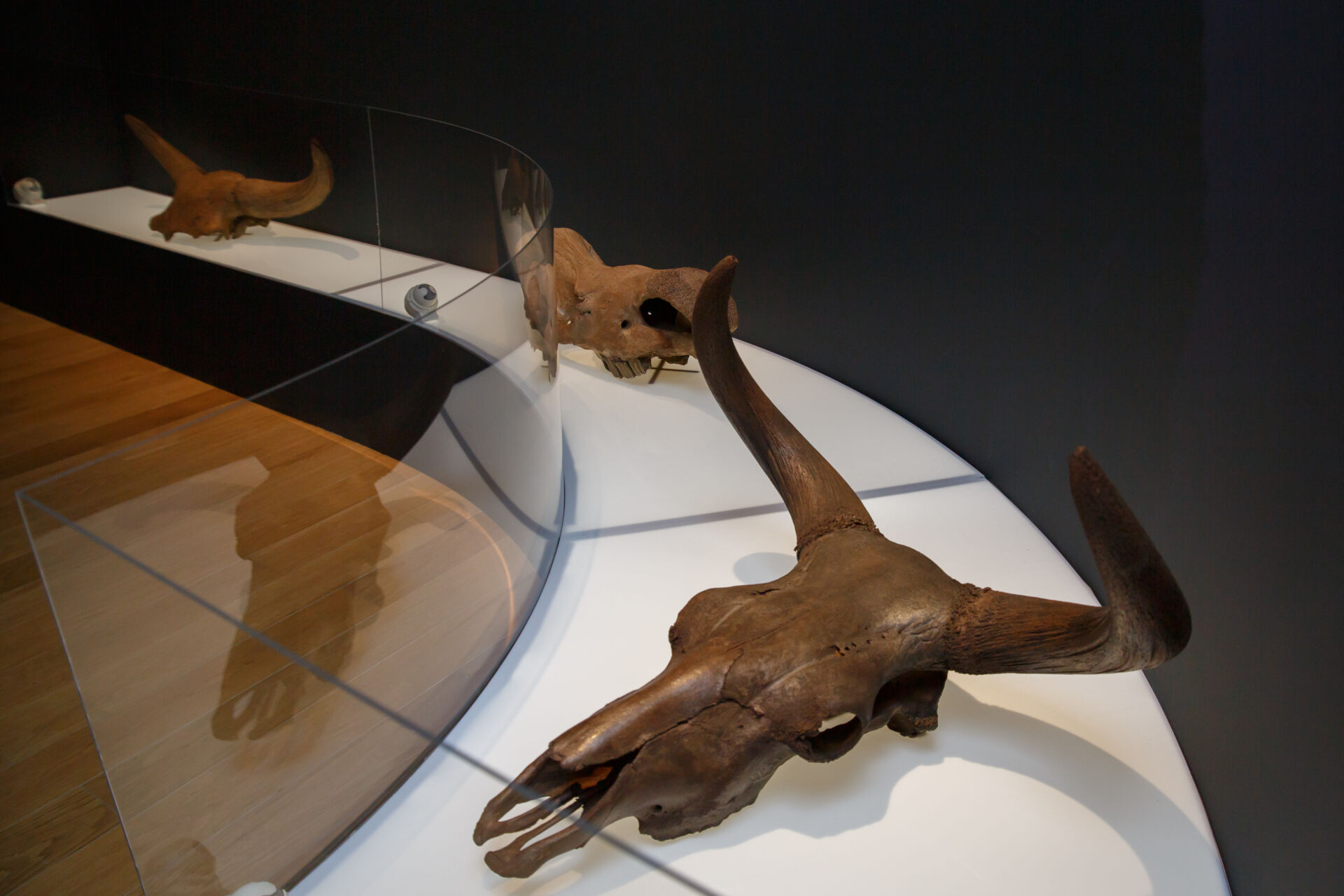 В России утвержден модельный стандарт муниципального краеведческого музея.